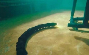 水下狂蟒——征服未知海底的机器人