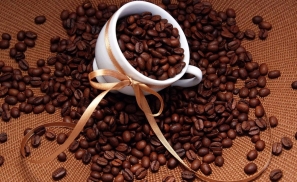 连咖啡获1.58亿元B+轮融资 由启明创投领投