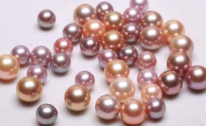 疯狂的珍珠：一月一涨价，养殖户卖断货，珠商月入500万